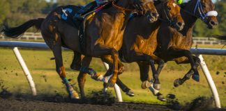 MansionBet passes the hurdle with Sky Sports Racing deal