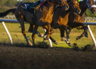 MansionBet passes the hurdle with Sky Sports Racing deal