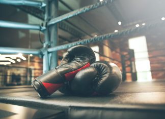 Global Fighters Union set up for combat sports athlete representation Global Fighters Union set up for combat sports athlete representation