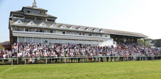 BHA: Staff safety paramount to racecourse return