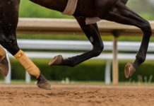 British horse racing makes diversity and inclusion vow