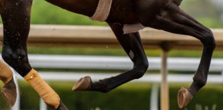 British horse racing makes diversity and inclusion vow