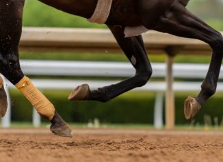 British horse racing makes diversity and inclusion vow
