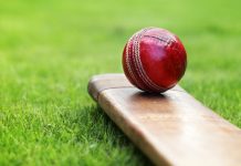 Sportradar drives cricket offering with InteractSport acquisition