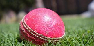 BCCI facing $300m commercial losses following IPL suspension