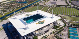 Heineken toasts to Miami Dolphins in new tie-up