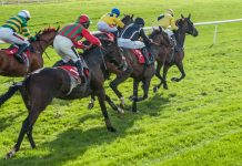 Leopardstown links with Racing Post as spectators return