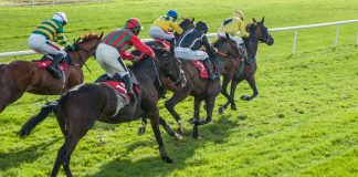 Leopardstown links with Racing Post as spectators return