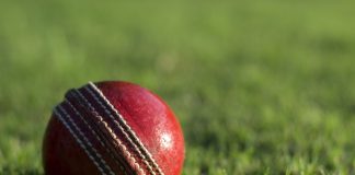 ICC unveils T20 and Cricket World Cups expansion plans