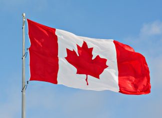Genius Sports provides data boost for football in Canada