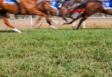 Irish racecourses could see capacity limit increase