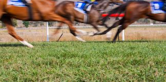 Irish racecourses could see capacity limit increase