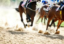 British racing ponders equine travel following EU rules change