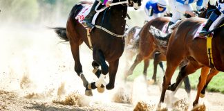 British racing ponders equine travel following EU rules change
