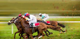 Horse racing to divide £21.5 million SWSP loan