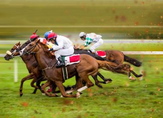Horse racing to divide £21.5 million SWSP loan