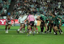NRL’s Rabbitohs and Bulldogs maintain betting separation NRL’s Rabbitohs and Bulldogs maintain betting separation