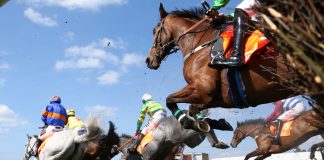 BHA calls ‘urgent’ meeting over BBC Panorama probe