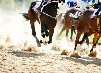 BHA’s Careers in Racing launches Youth Collaboration Group