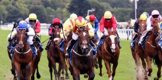 RMG and RCTC sign India-facing media deal for UK and Ireland racing