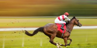 Allente to broadcast ATG Live horse racing content