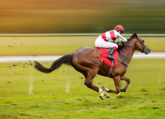 Allente to broadcast ATG Live horse racing content