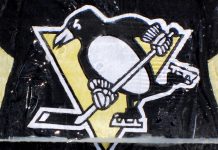 Penguins secure helmet partnership in Bold Penguin ‘winning’ deal