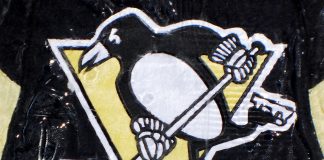Penguins secure helmet partnership in Bold Penguin ‘winning’ deal