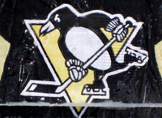 Penguins secure helmet partnership in Bold Penguin ‘winning’ deal