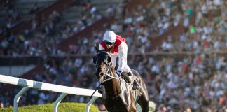 BHA promotes attendance in release of 2022 fixture list