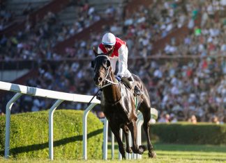 BHA promotes attendance in release of 2022 fixture list