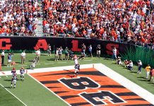 Cincinnati Bengals launches free-to-play games in Low6 partnership