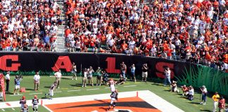Cincinnati Bengals launches free-to-play games in Low6 partnership