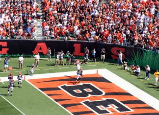 Cincinnati Bengals launches free-to-play games in Low6 partnership