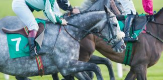 Raj Parker becomes Regulator Director of BHA