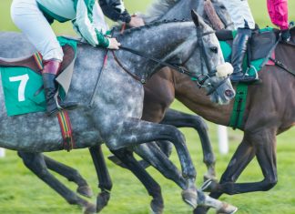 Raj Parker becomes Regulator Director of BHA