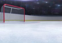 NHL announces early holiday break following COVID fears