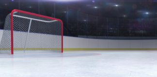 NHL announces early holiday break following COVID fears