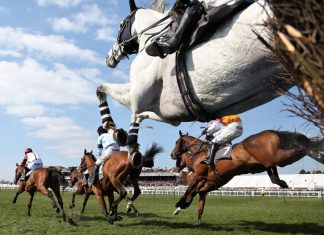 BHA on track for future of diversity and inclusion