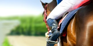 BHA identifies key environmental issues in new racing overview