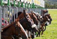 BHA calls for participation in environmental activity plans