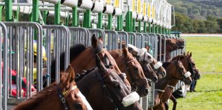 BHA calls for participation in environmental activity plans