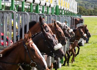 BHA calls for participation in environmental activity plans