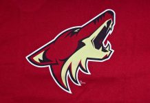 Meruelo’s Arizona Coyotes launches betting platform under same ownership