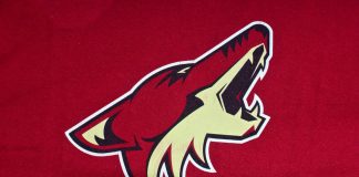 Meruelo’s Arizona Coyotes launches betting platform under same ownership