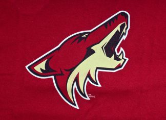 Meruelo’s Arizona Coyotes launches betting platform under same ownership