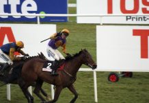 Horse Racing Ireland reports ‘remarkable resilience’ post-pandemic