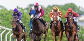Stewart Michell to head UK racing estate management strategy