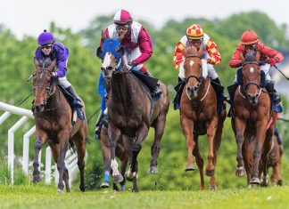 Stewart Michell to head UK racing estate management strategy