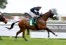UK Racing launches working party to improve ‘culture of respect’